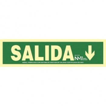 SEÑAL LUM. SALIDA+FLECHA ABAJO 10.5X40.2 RD1205